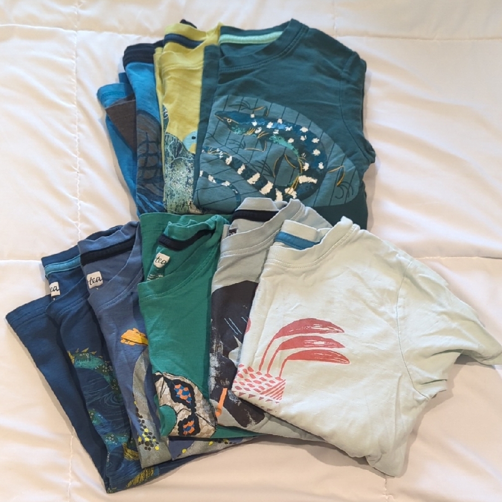 Boys Size 6+7 Tea Collection Shirt Bundle